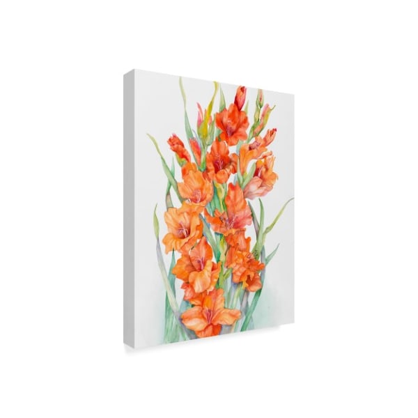 Joanne Porter 'Hot Orange Gladiolus' Canvas Art,24x32
